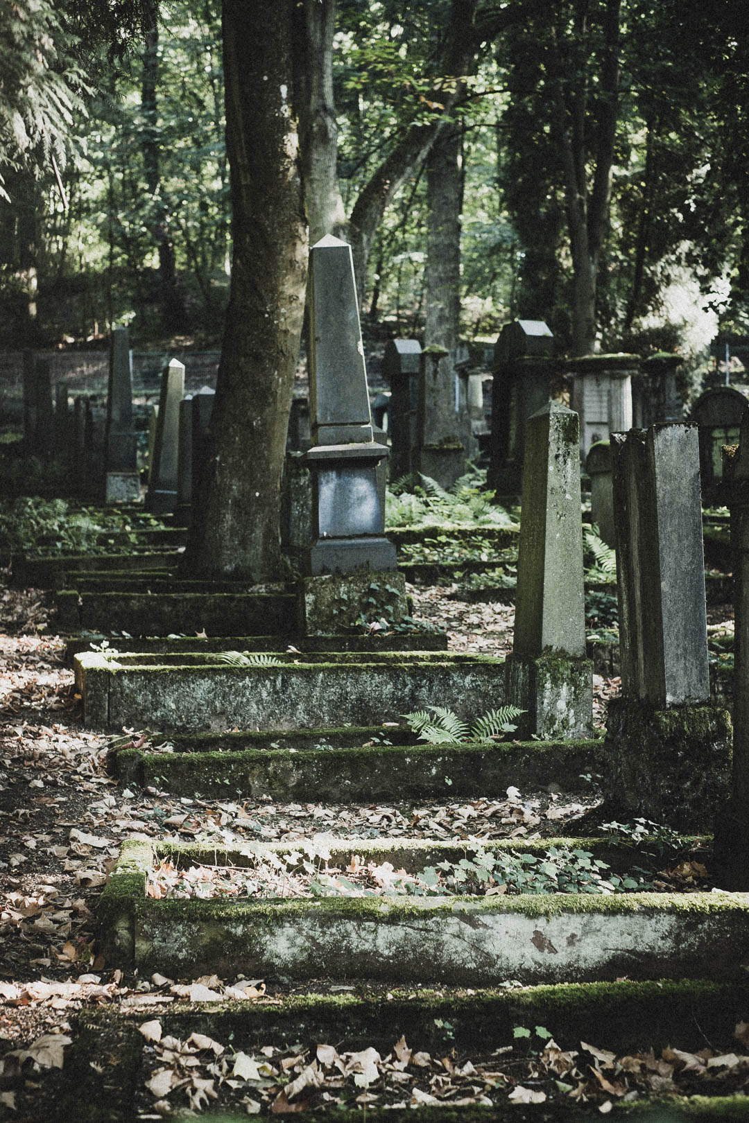 Limburg an der Lahn, Jüdischer Friedhof